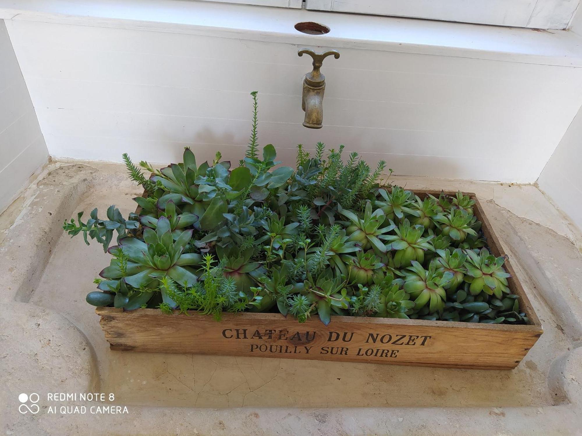 Gite Calme 4 Chambres, Terrasse Privative, Draps Inclus - Germonville - Fr-1-584-167 エクステリア 写真